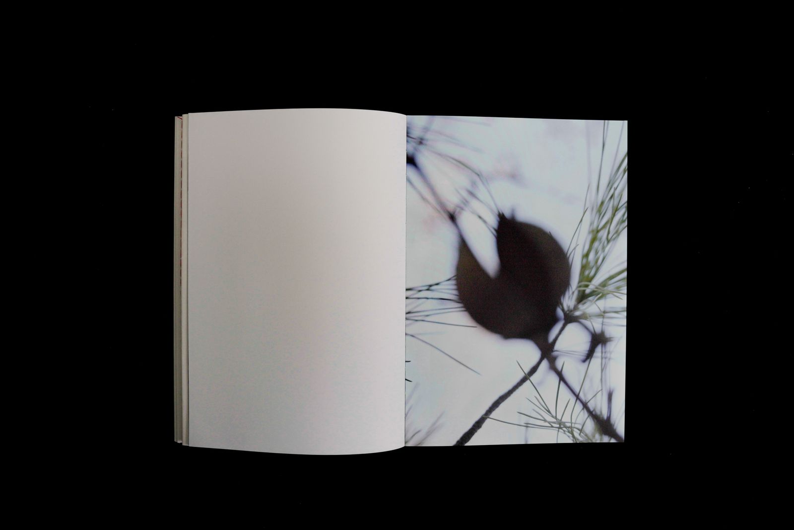 © yuan lin - Image from the 《Duration》 photography project