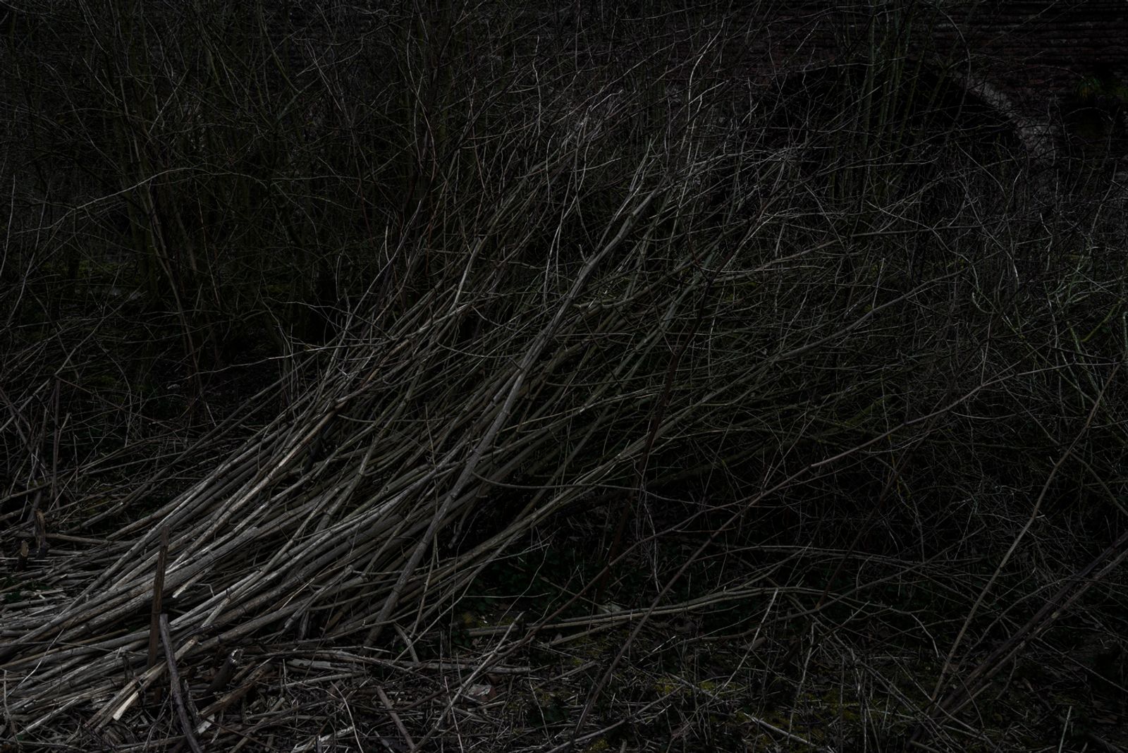 © Paul Bulteel - Image from the winterreise photography project