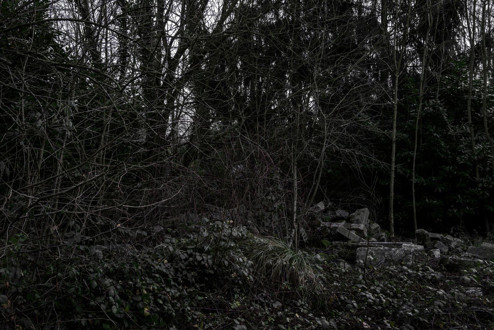 © Paul Bulteel - Image from the winterreise photography project