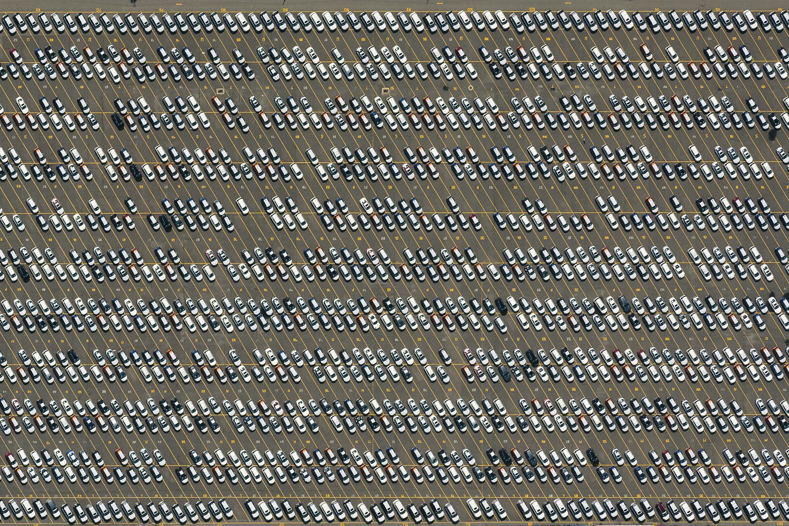 © Filip Wolak - Disrupted Commerce – Port of Newark new car parking lot at near capacity, as the pandemic disrupts the supply chain