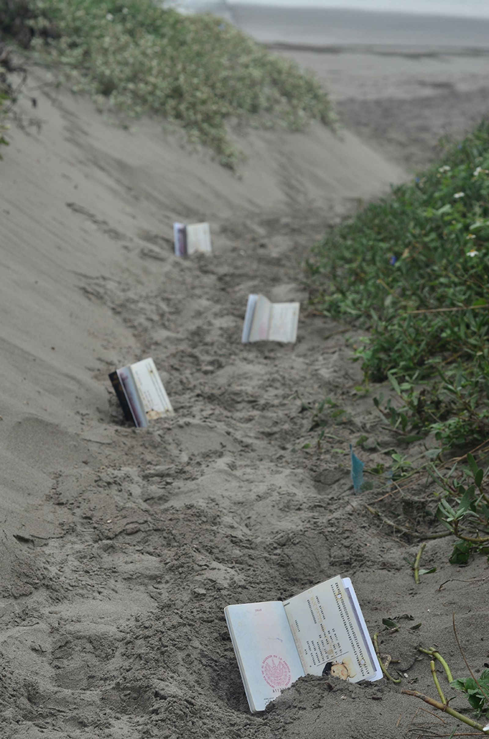 © Andrea Selene Morales Ugalde - Mexican passports of my brothers and I make a way to the sea, in Veracruz.