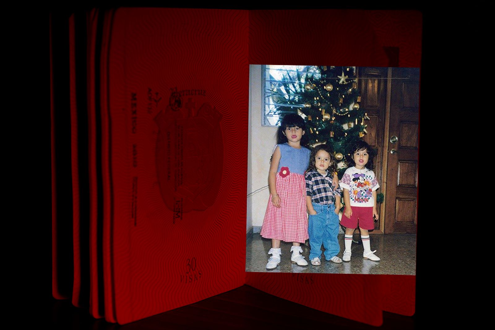 © Andrea Selene Morales Ugalde - Intervention of a photo from my passport with a file photograph of my brothers and I at Christmas.