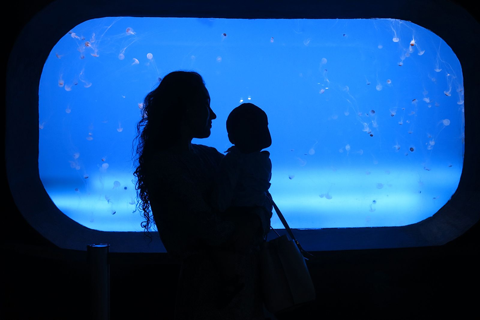 © Andrea Selene Morales Ugalde - My sister and nephew observe the jellyfish in the Veracruz aquarium.