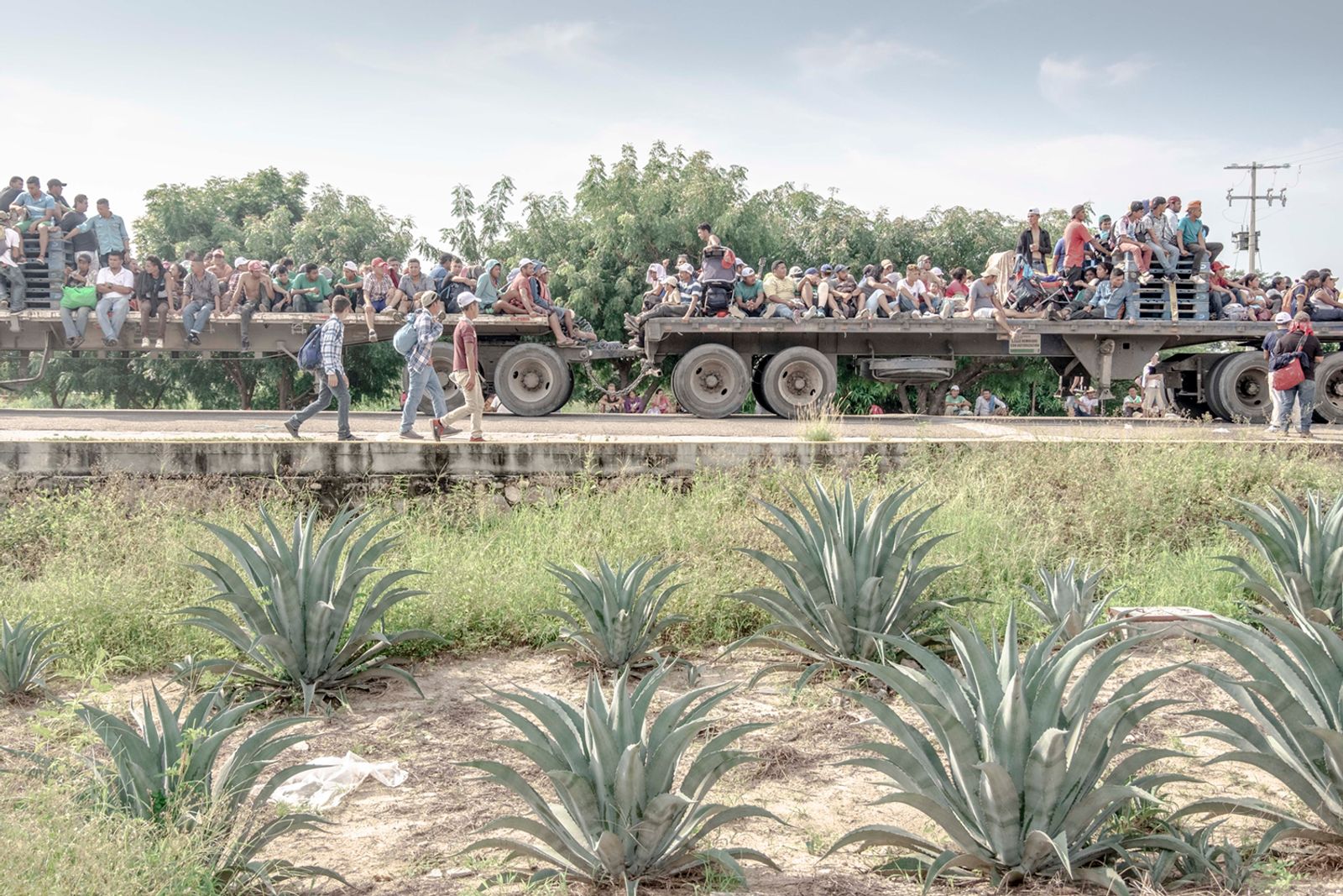 © Fred Ramos - Central American migrants in Oaxaca, México, on a trailer heading to the United States, October 2018. Fred Ramos