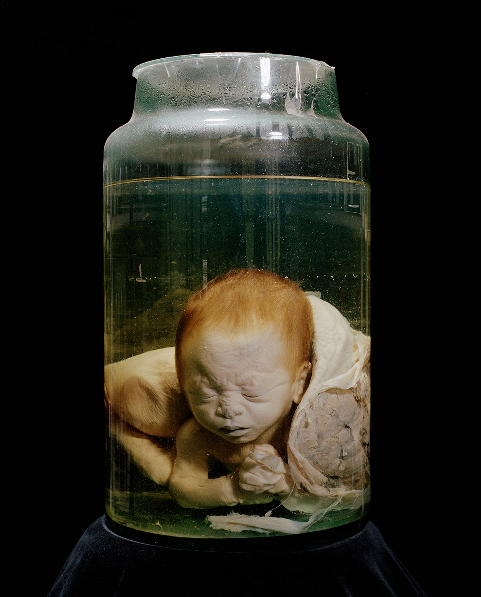 © Mathieu Asselin - Image from the Monsanto: A Photographic Investigation photography project
