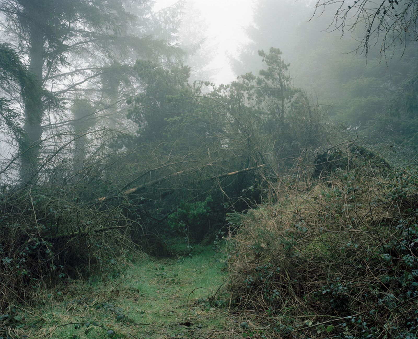 © Paddy Kelly - Regret