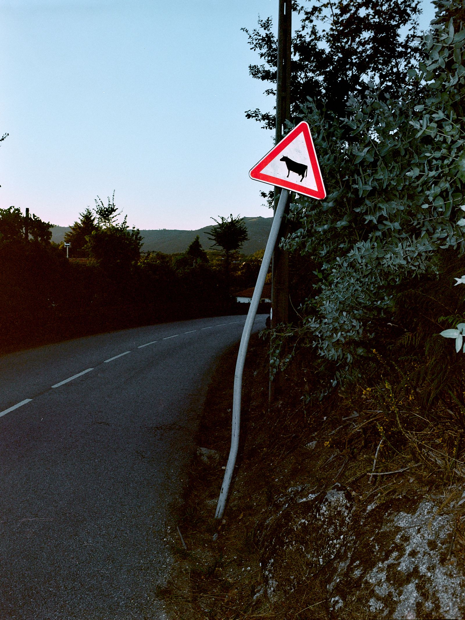 © Bruno Ribeiro - Image from the The Grass Needs To Be Cut photography project