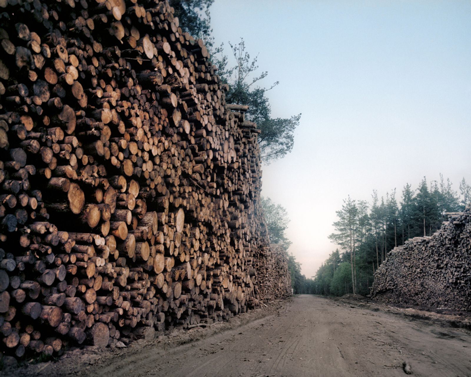 © Oleg Ponomarev - Ust-Luga timber terminals. 2019.