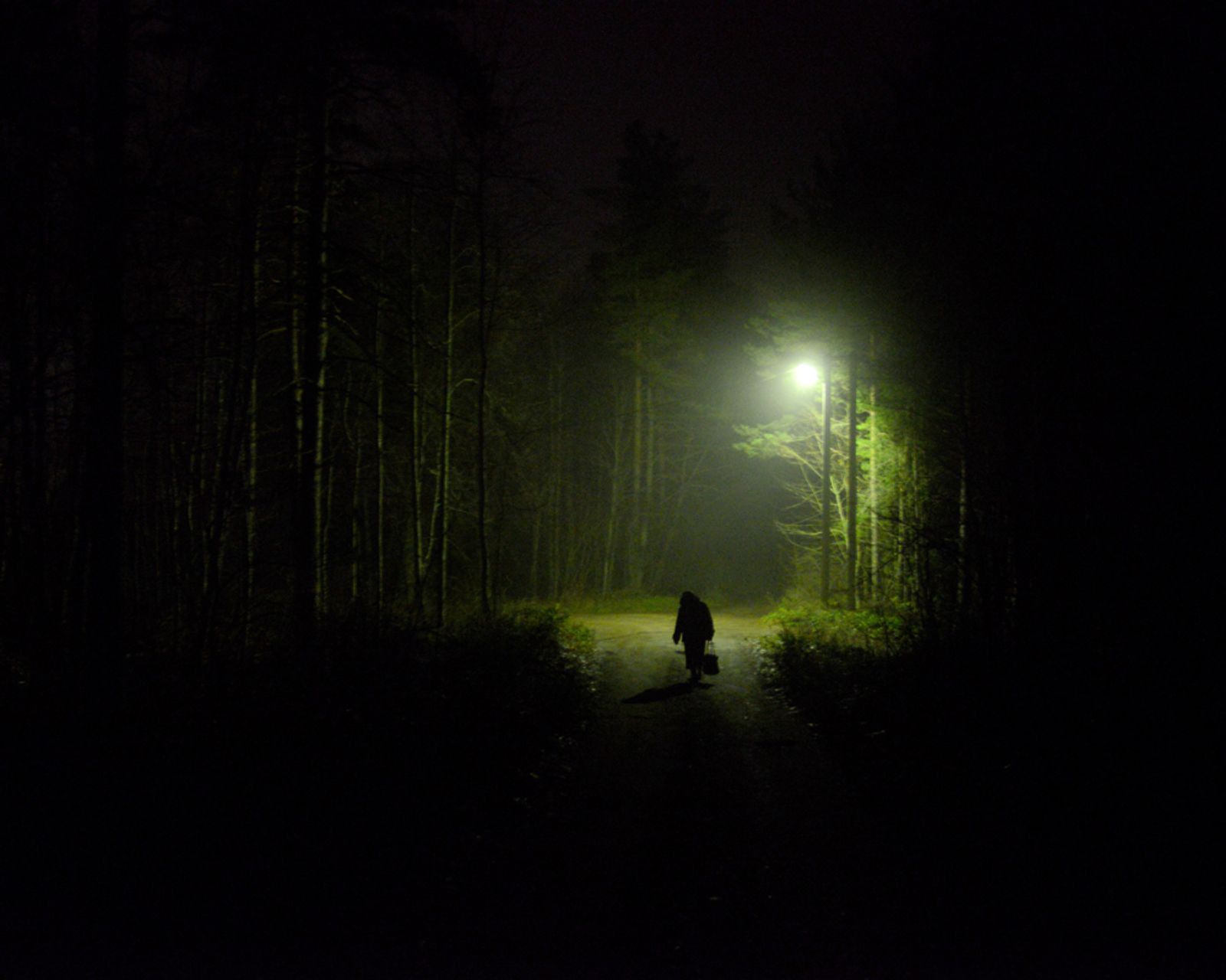 © Oleg Ponomarev - Zinaida Savelieva walks home. When the autumn falls and till spring, she is almost the only one person in the village. 2018.