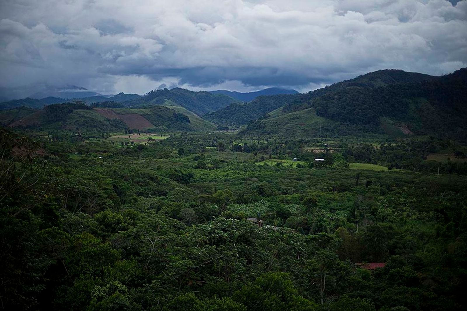 © Marta Moreiras - View of Samaria, ashaninka community in Mazamari’s district, one of the eight in the Province of Satipo.