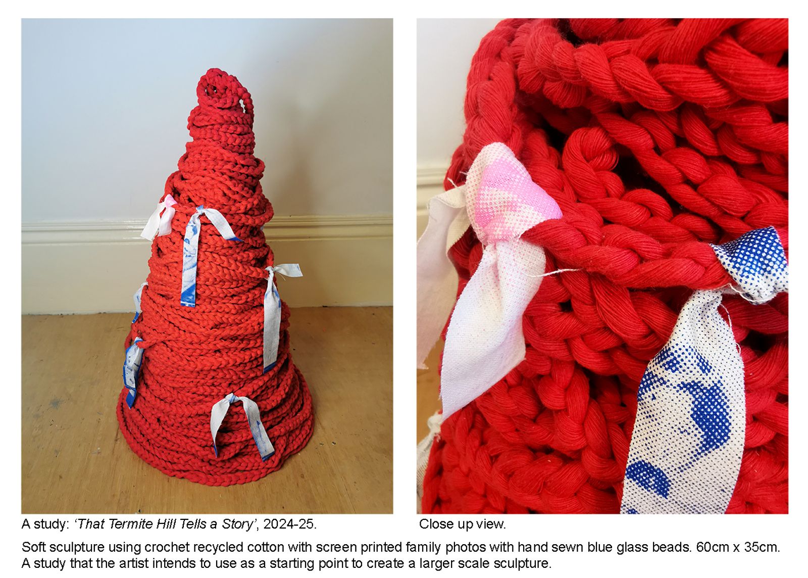 © Rossanne Pellegrino - An in progress view of 'That Termite Hill Tells A Story'