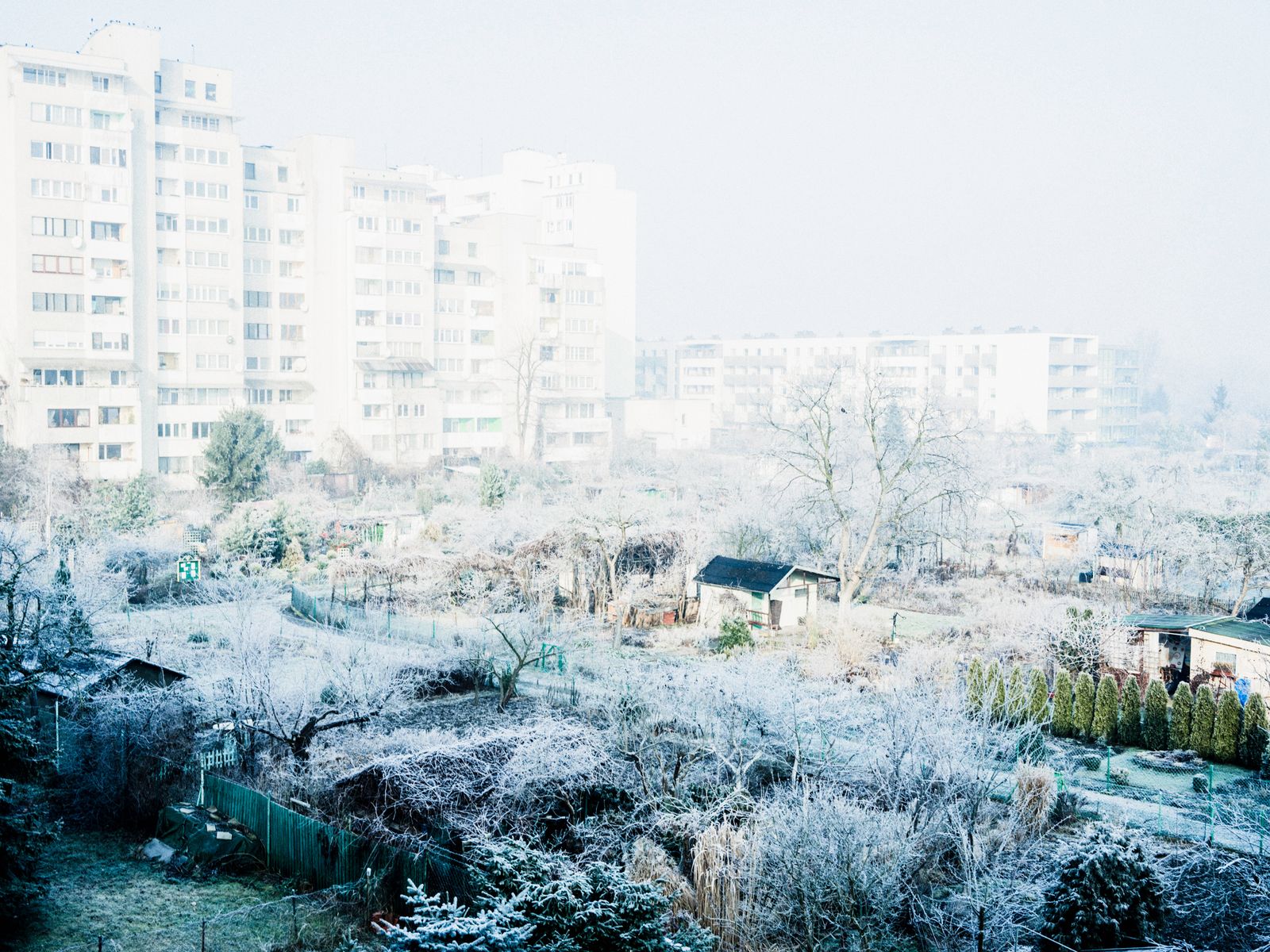 © Aleksandra Nowysz - Image from the Better Tomorrow photography project