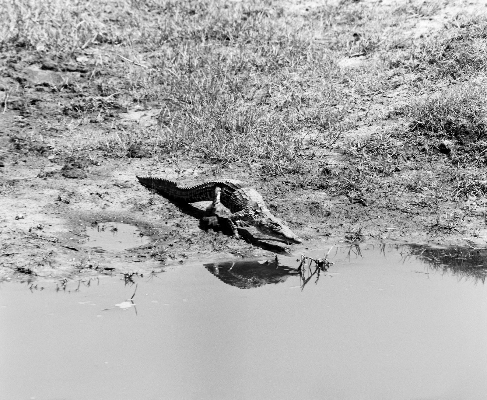© Deanna Pizzitelli - Image from the Archive 24 photography project