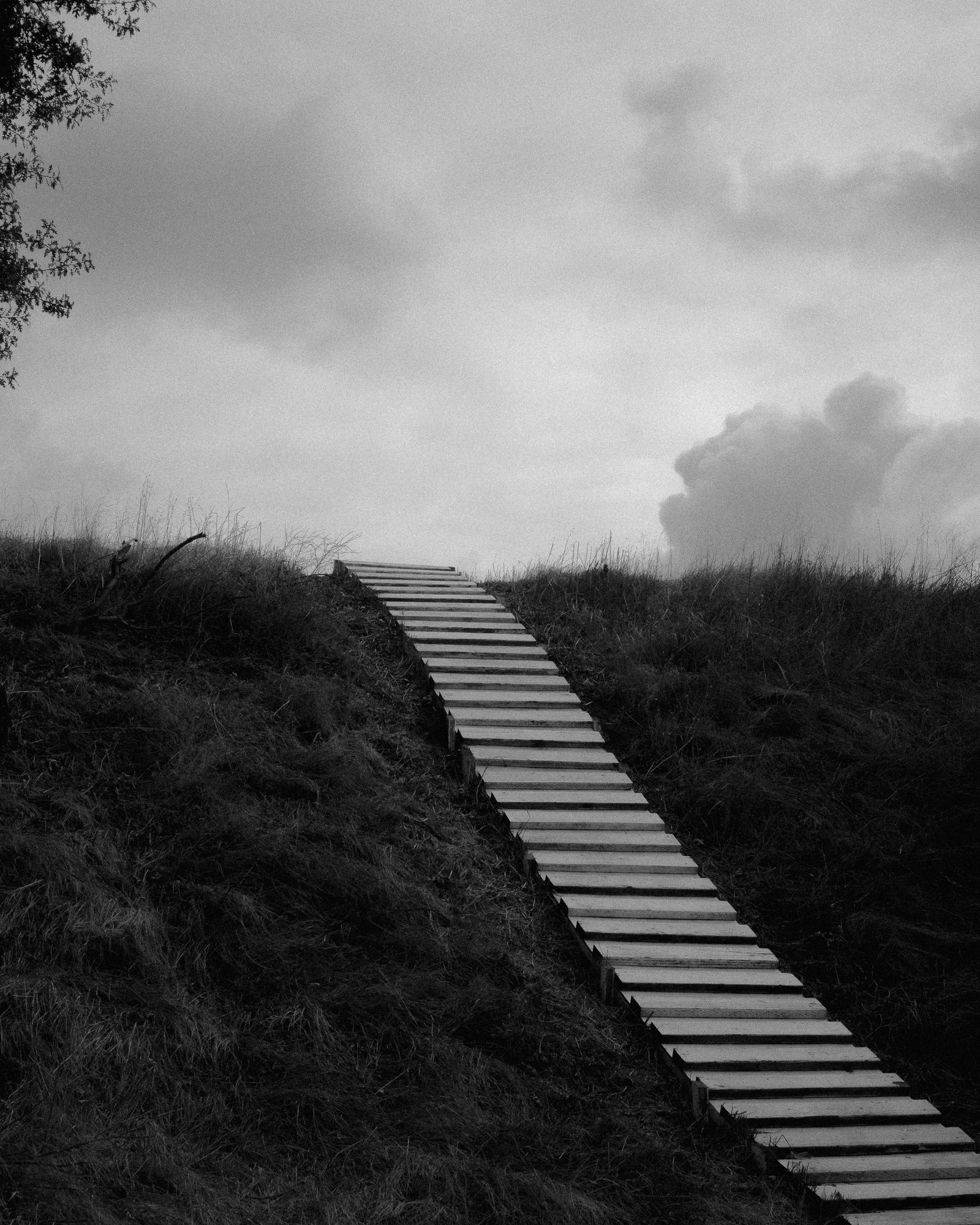 © Phoenix Kanada - Up and Over