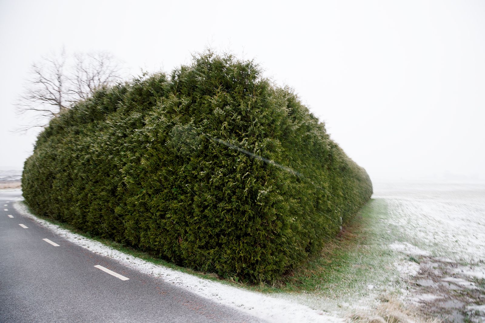 © Ella Baum - Image from the The Navel of the Dream photography project