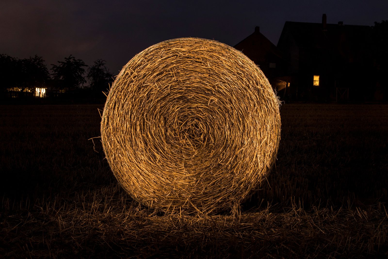 © Lara Wilde - Thatch, rolled. In the background the house from the farmers window.