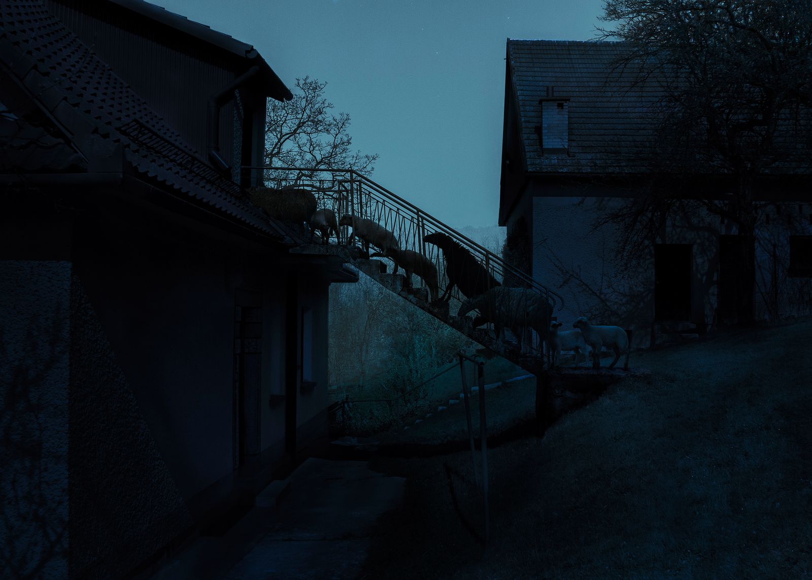 © Adam Żądło - Image from the Deserted village photography project