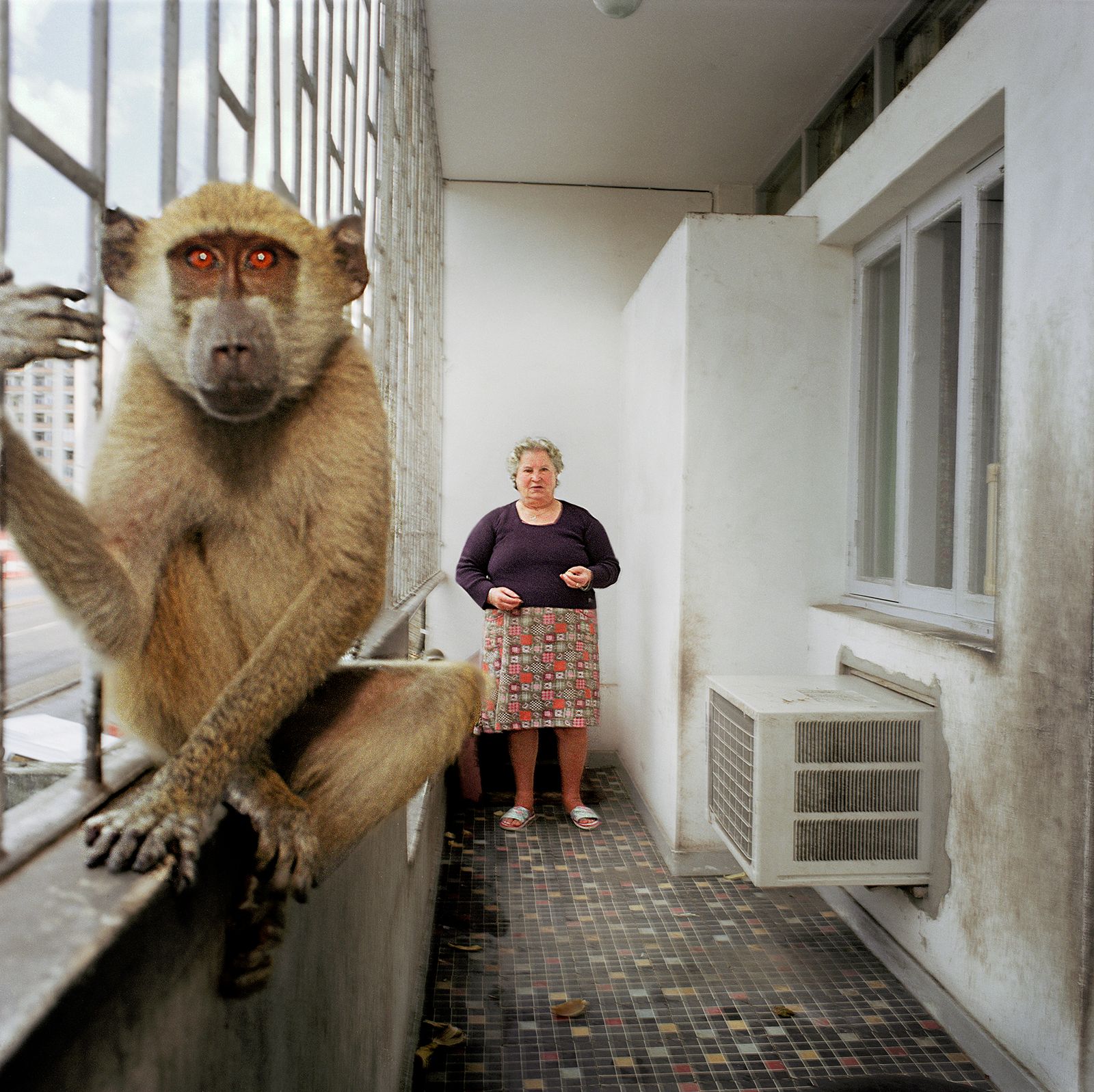 © Ditte Haarløv Johnsen - Balcony Monkey and the Grandmother from Portugal. 2000