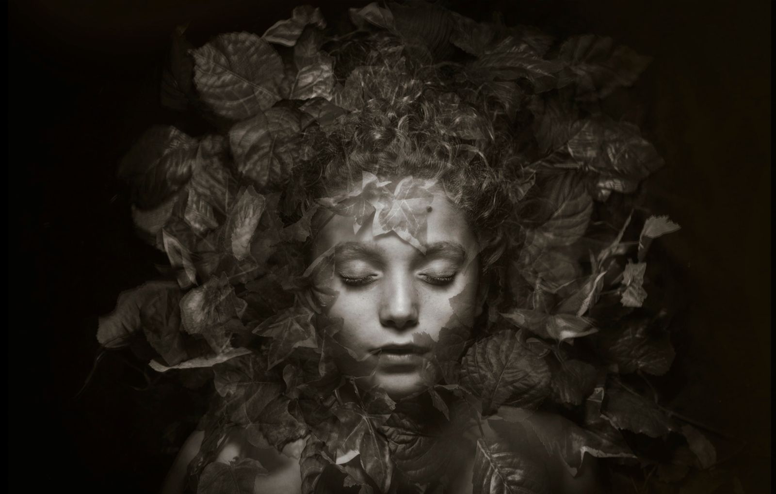 Perennial Breath: A Tapestry of Faces - PhMuseum