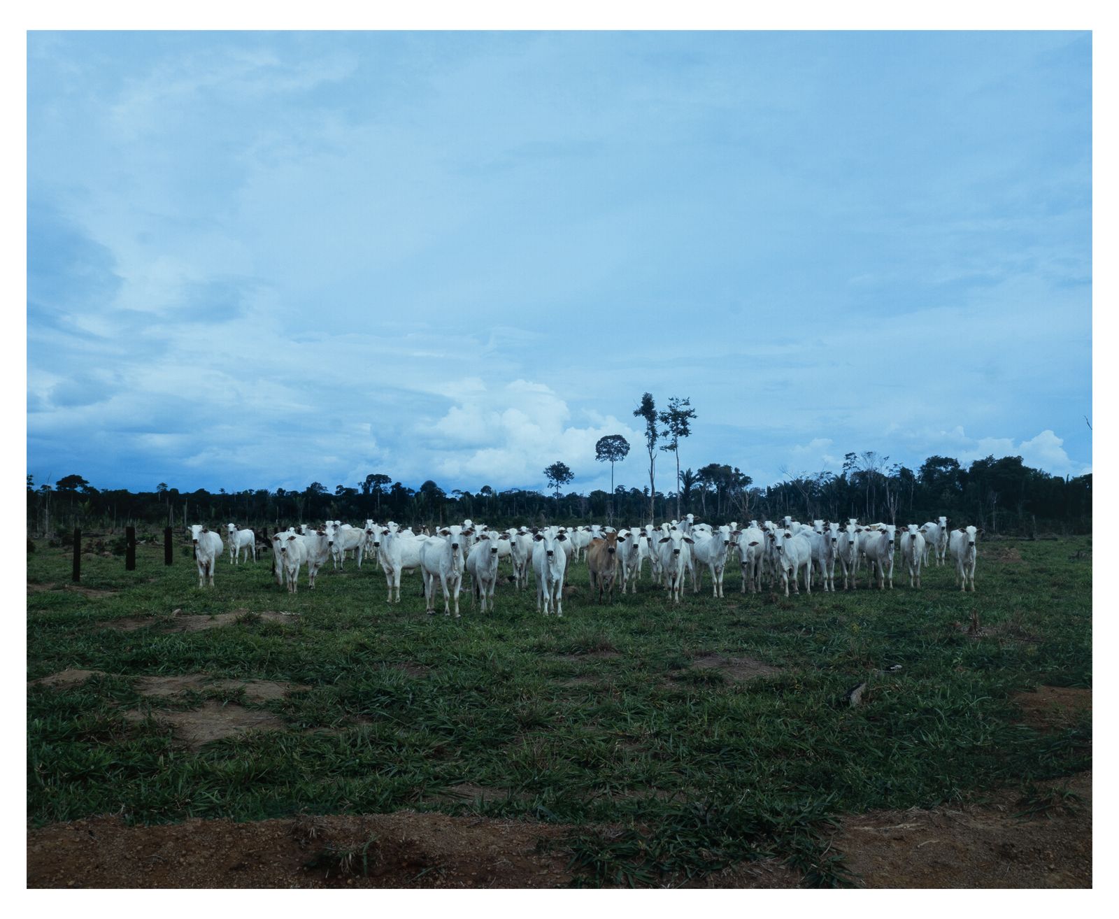 © Emilio azevedo - Image from the Rondônia (how I fell in love with a line) photography project