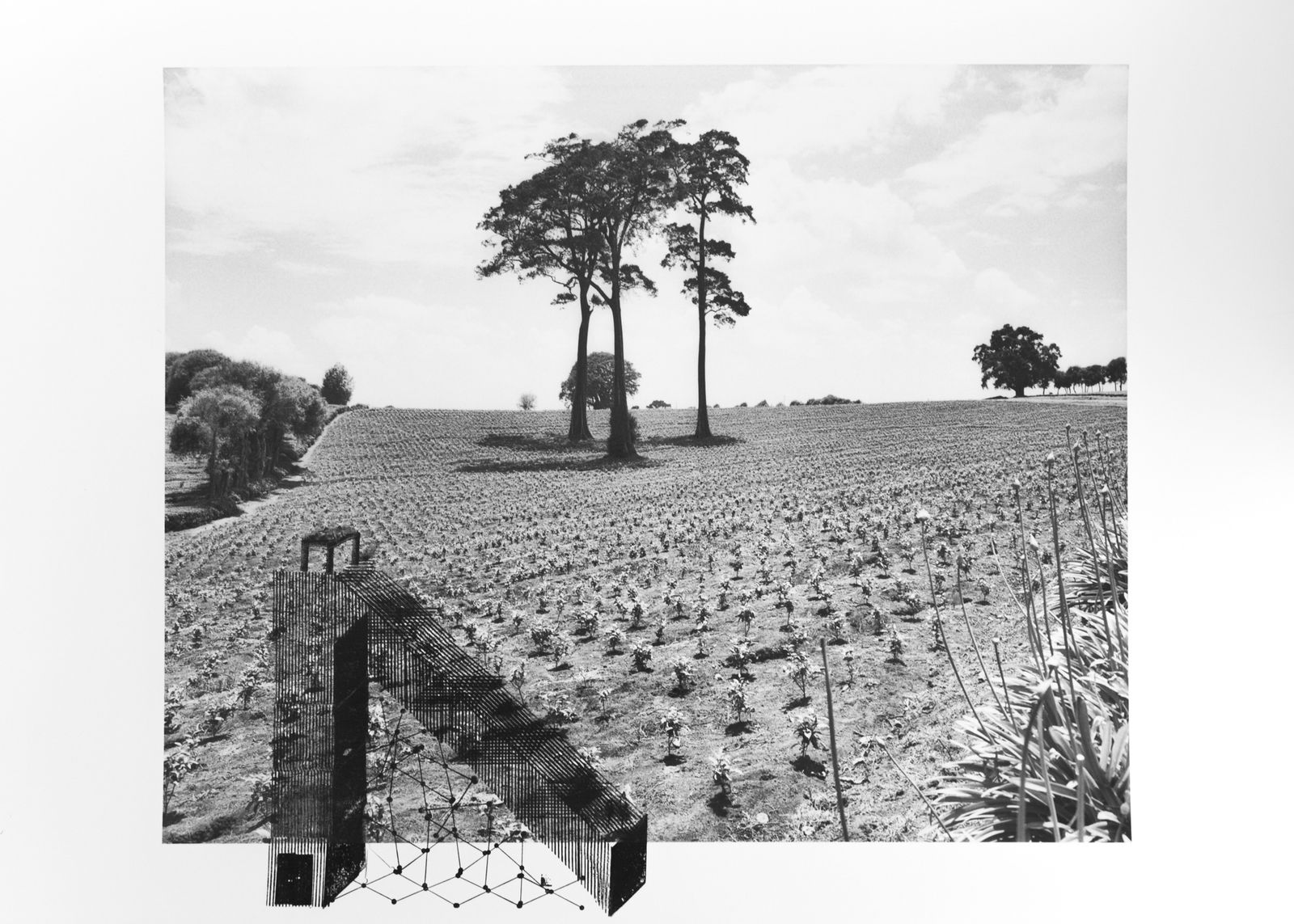 © Nura Qureshi - "Moving Gallows" Limuru, Kenya 2017