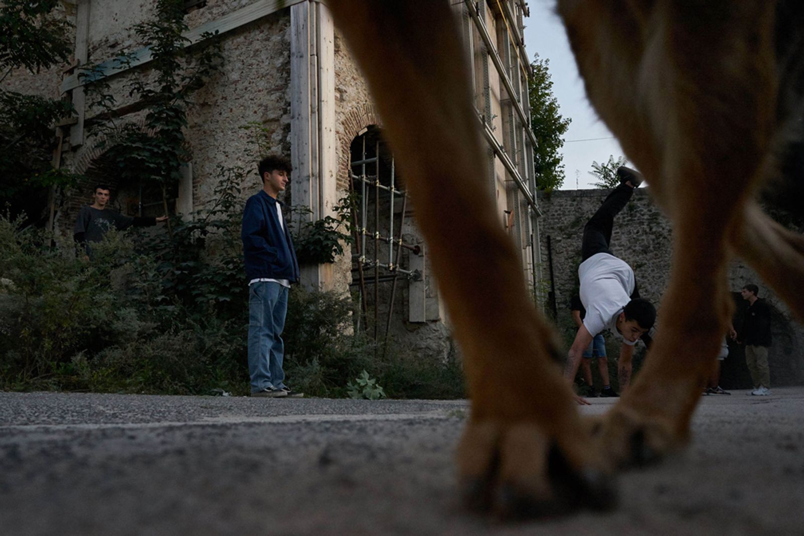 © Danilo Garcia Di Meo - the boys, with the dog of one of them, in the still earthquake city