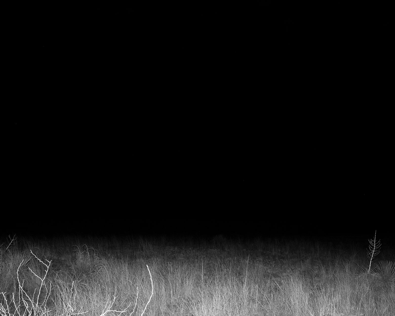 © Daniel Ribar - Image from the Nothing Belongs to Anyone photography project