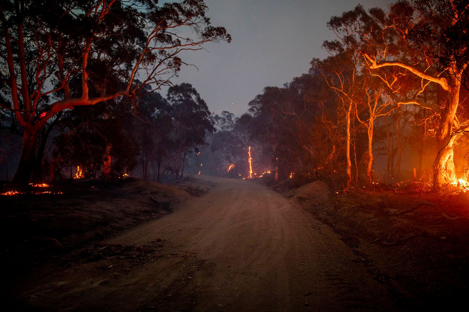 © Sean Davey - A fire-front moves through Little Bombay Road, Braidwood, NSW (2019)