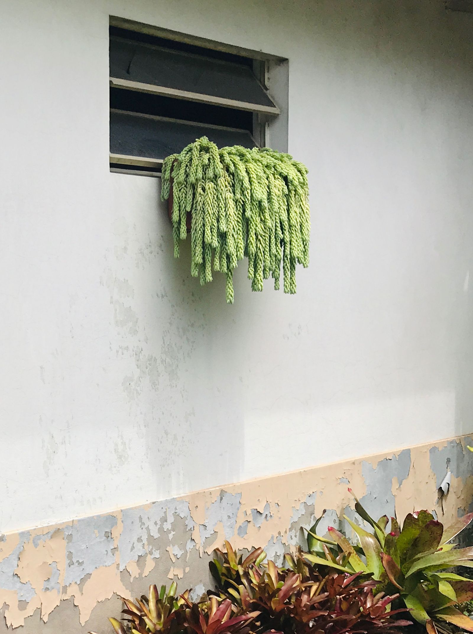 © Lucia Fainzilber - Image from the Odes to the things photography project
