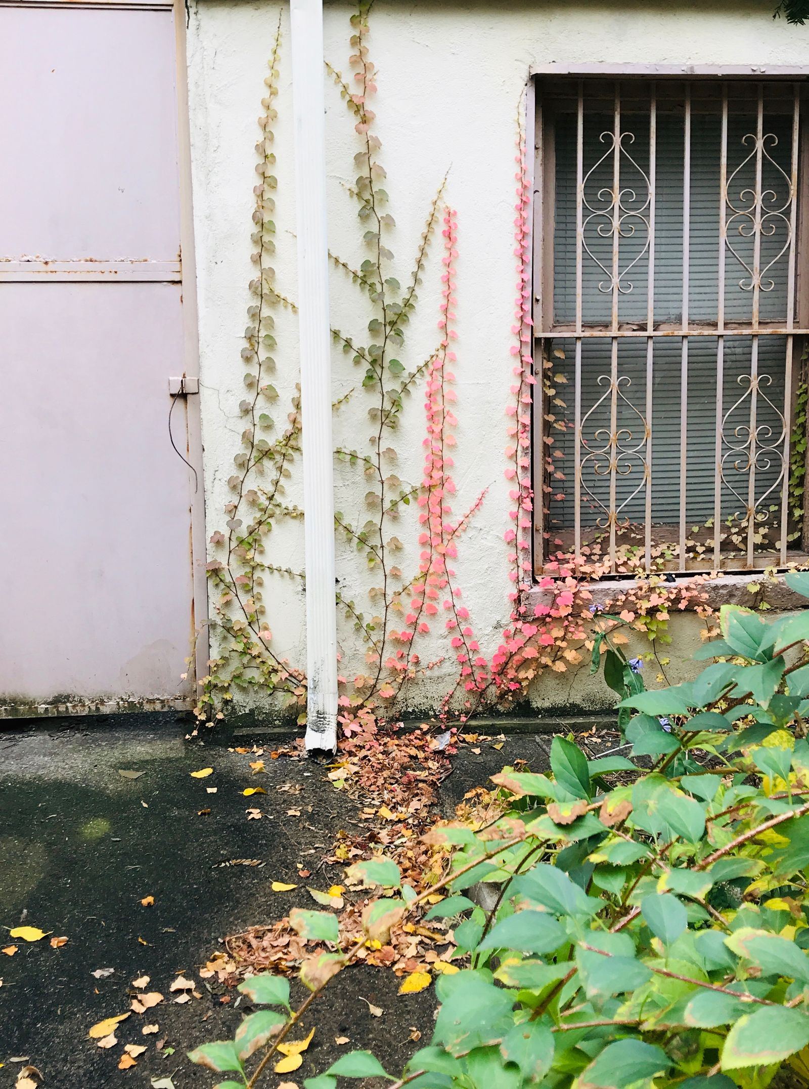 © Lucia Fainzilber - Image from the Odes to the things photography project