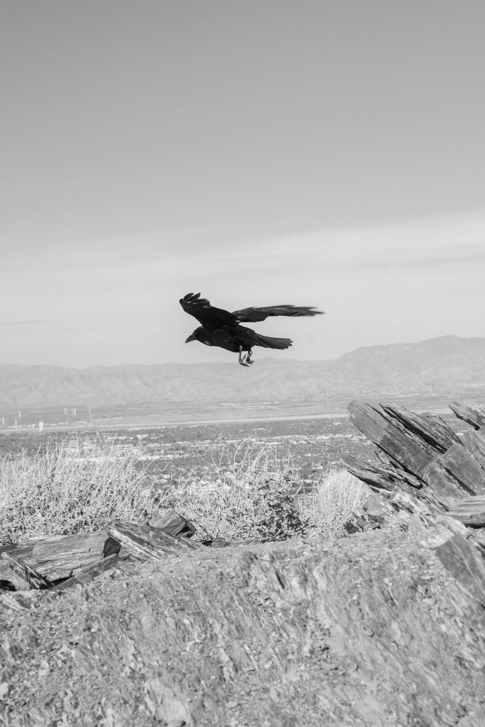 © Marcus Xavier Chormicle - Image from the Say Uncle photography project