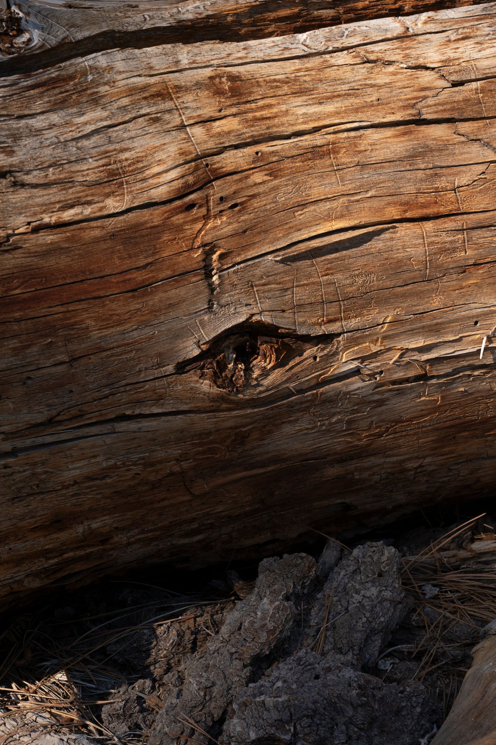 © Marcus Xavier Chormicle - The Land looks back at the people who travel across it.