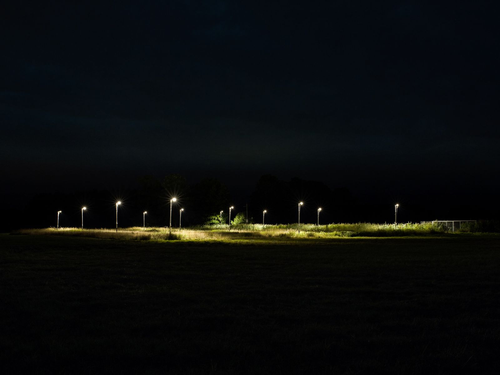 © Volker Crone - Experimental field for the investigation of ecological effects of street lamps.