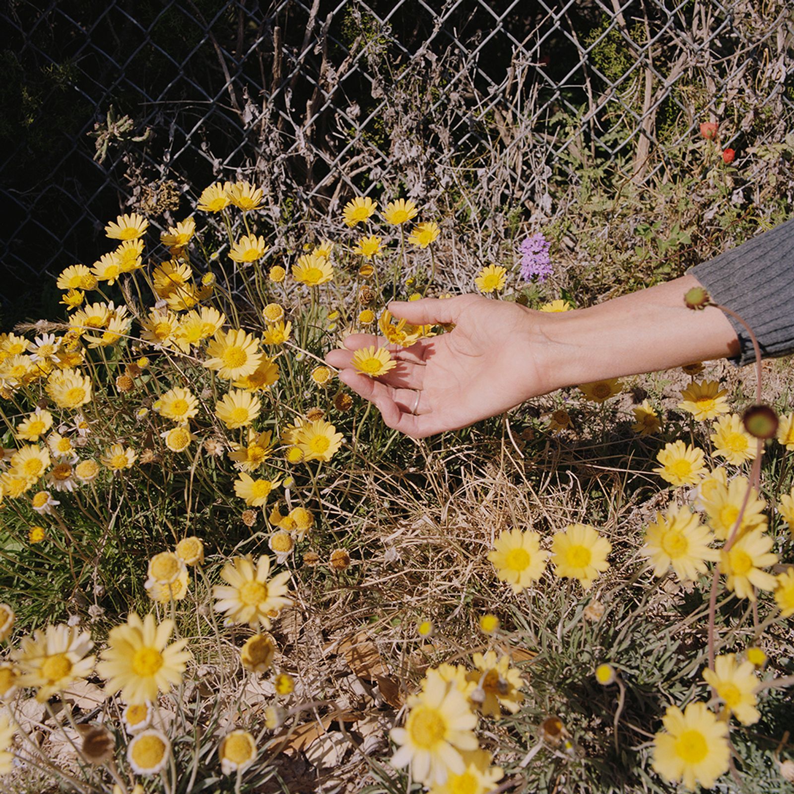 © Ariana Gomez - Image from the The Blue of Distance photography project