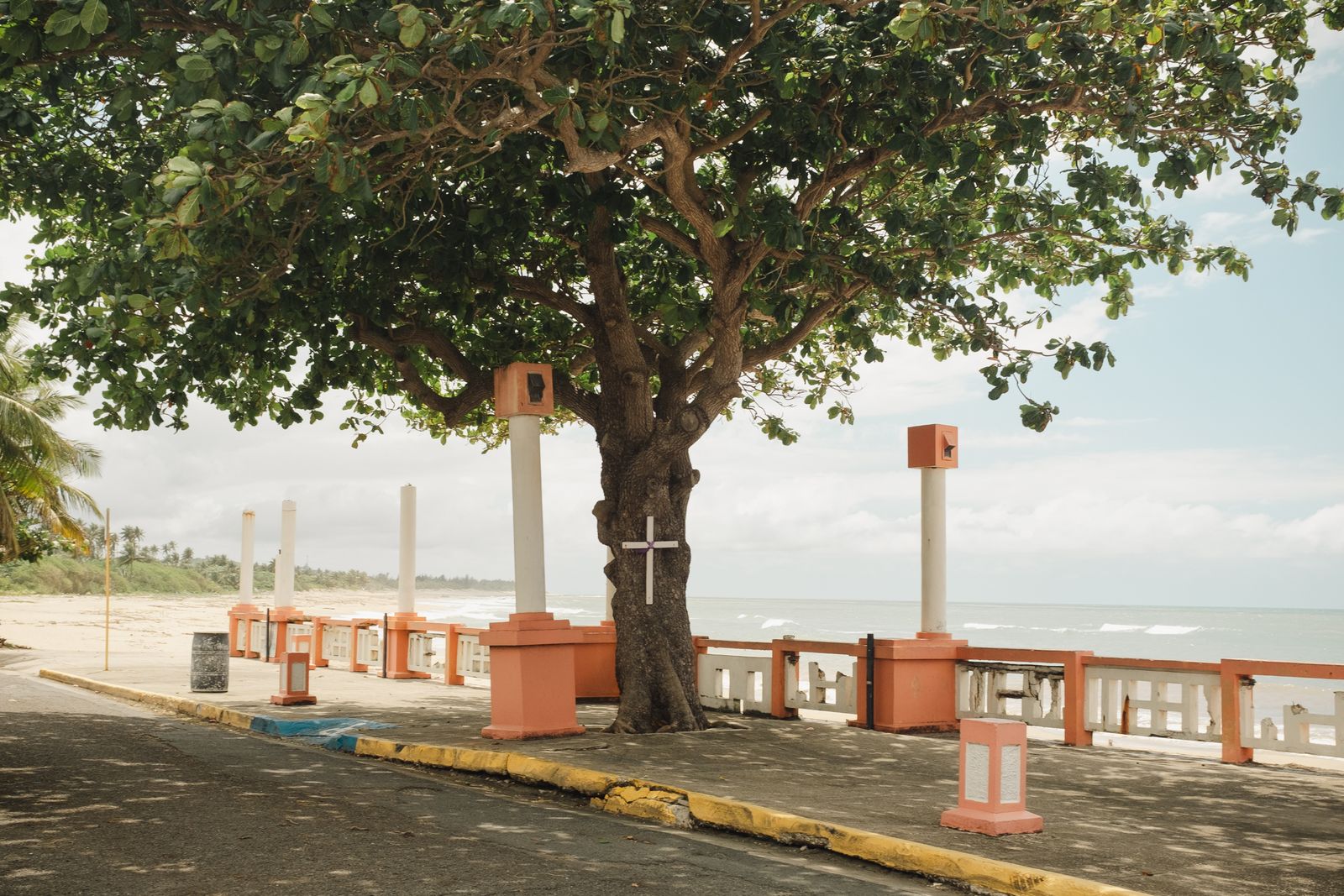 © Ariana Gomez - Image from the My Mother Speaks of Land as Memory photography project