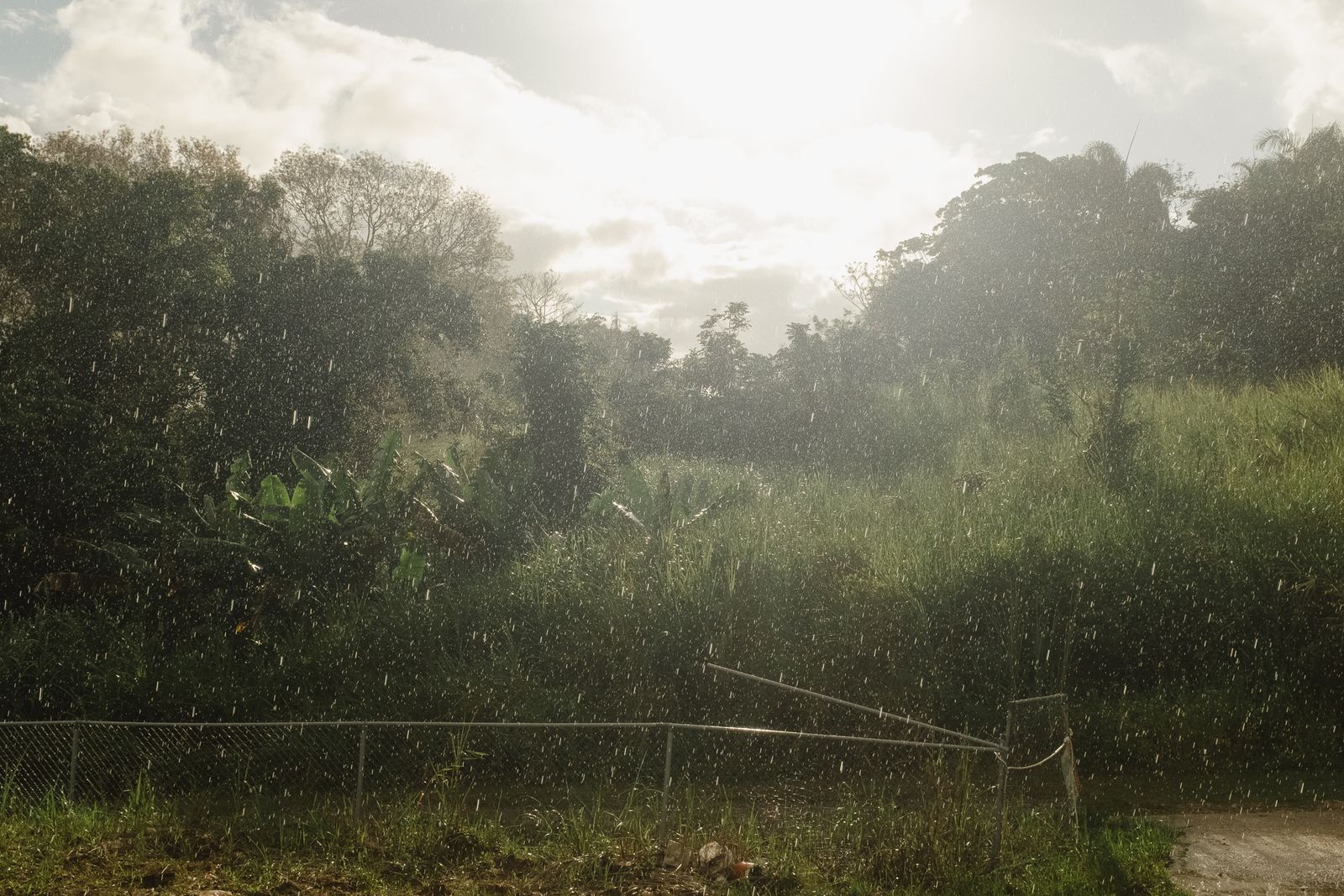 © Ariana Gomez - Image from the My Mother Speaks of Land as Memory photography project