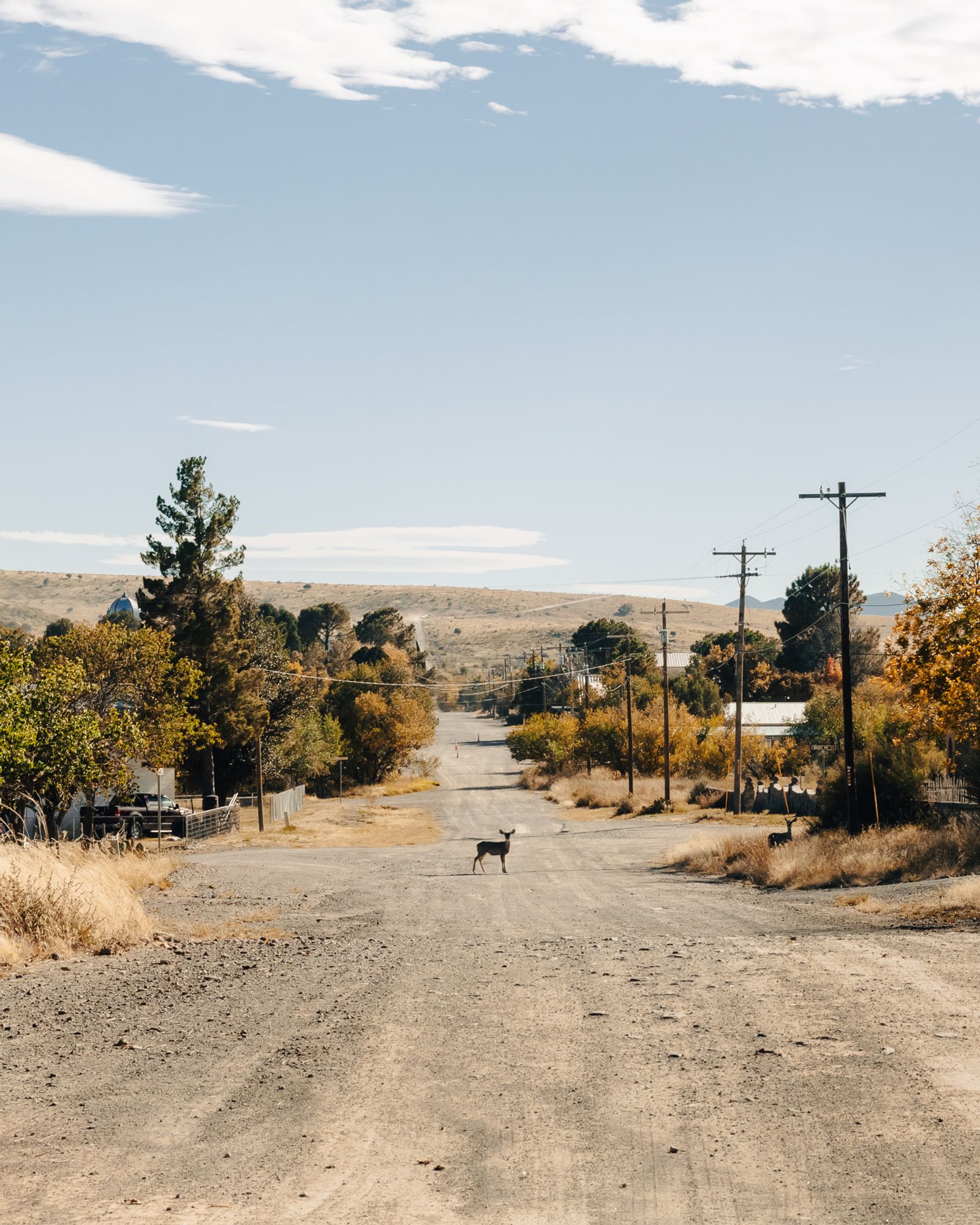 © Ariana Gomez - Image from the My Mother Speaks of Land as Memory photography project