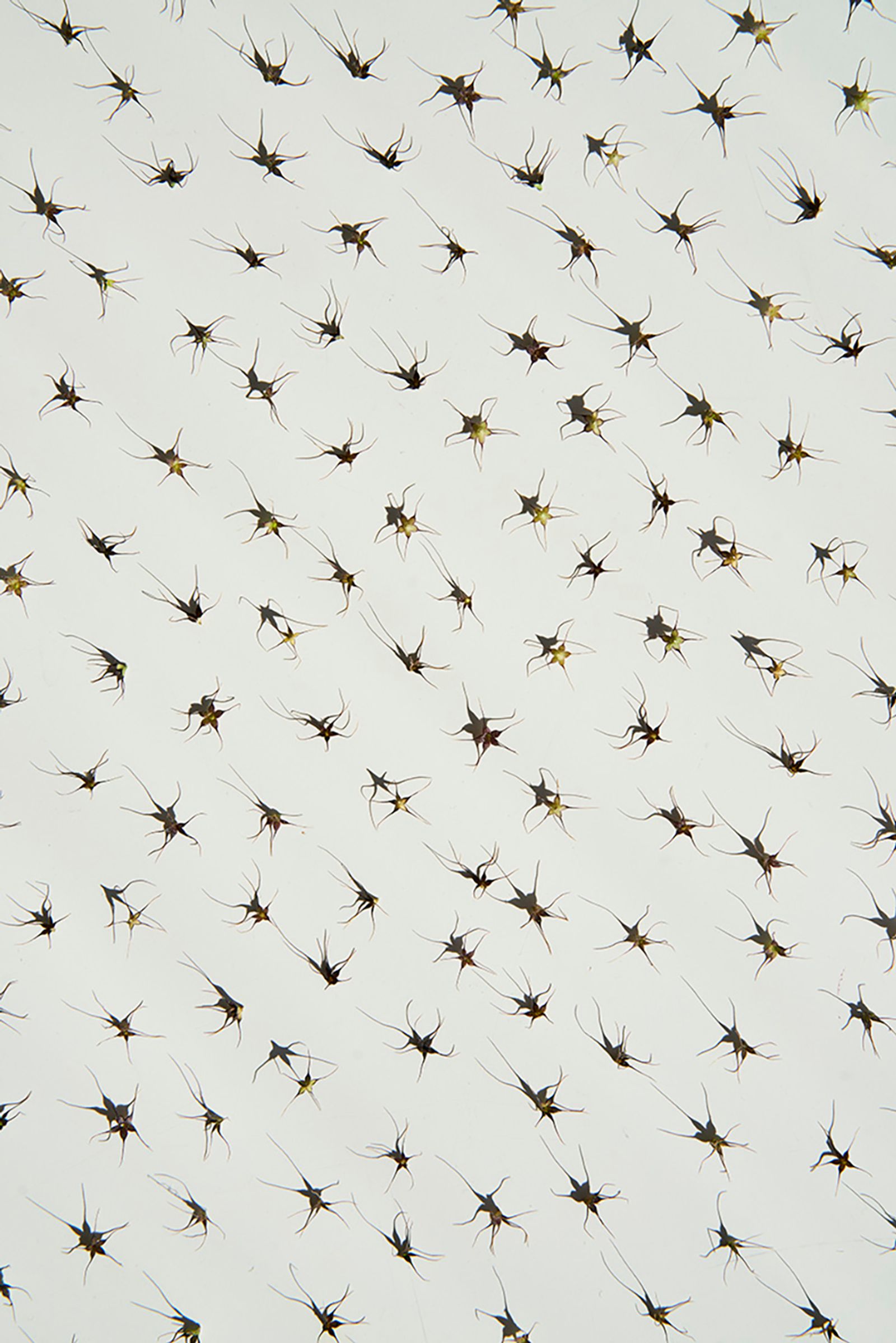 © Anke Loots - Image from the On Stillness photography project