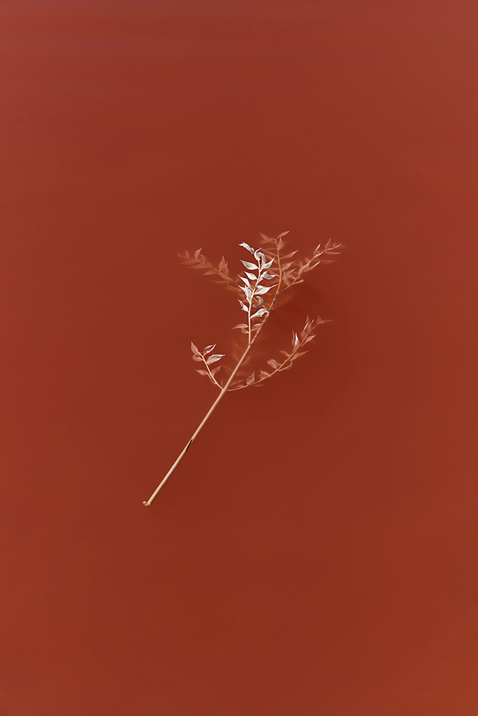 © Anke Loots - Image from the On Stillness photography project