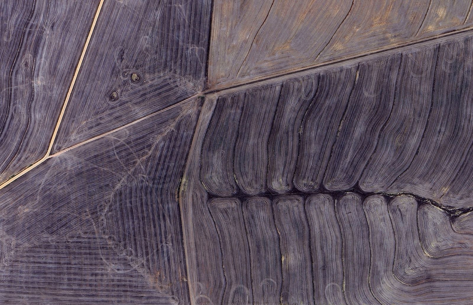 © Anke Loots - Image from the 17.7, -28.6, +6.2° photography project