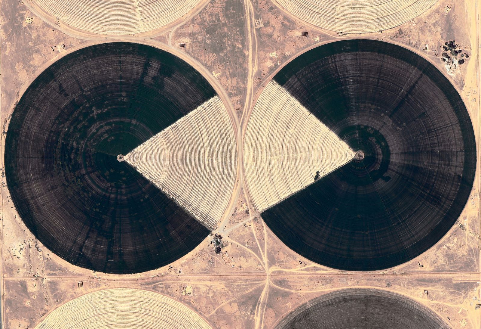 © Anke Loots - Image from the 17.7, -28.6, +6.2° photography project