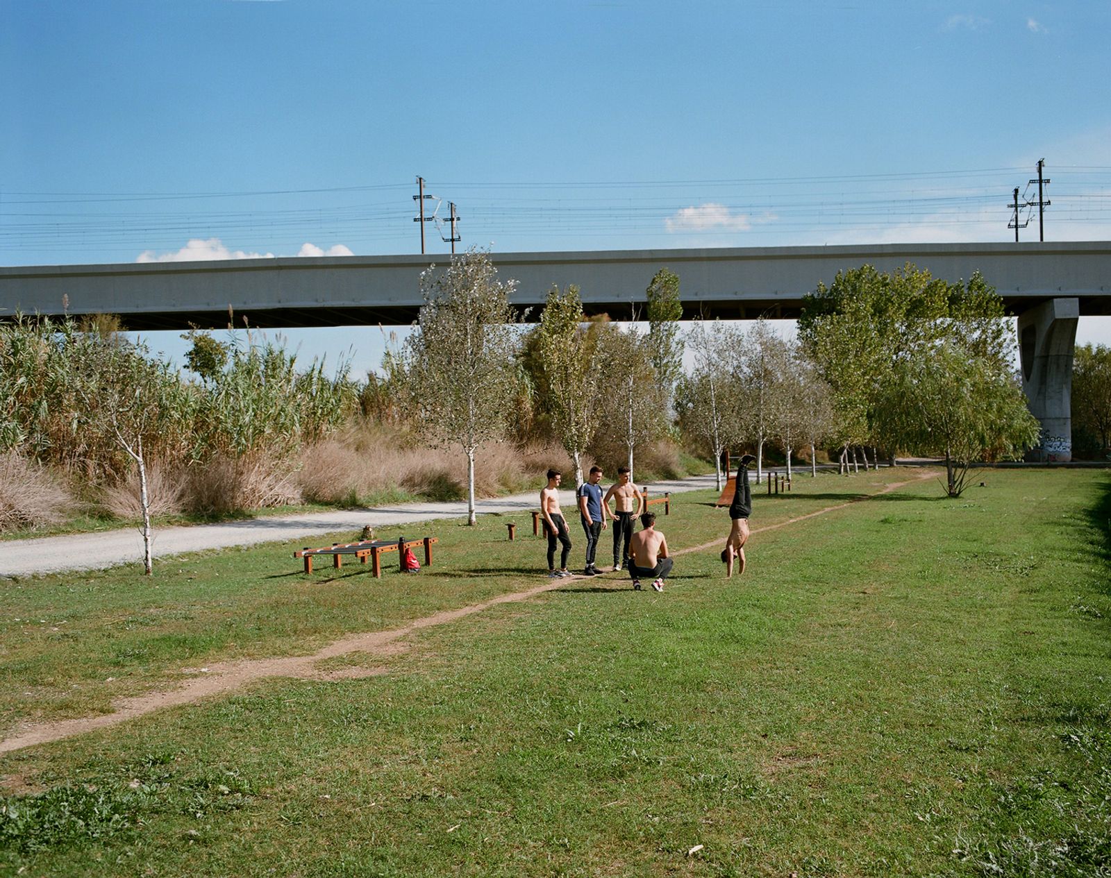 © Edgar dos Santos - Image from the Inventory of bridges and viaducts of the Spanish high-speed rail (AVE) photography project