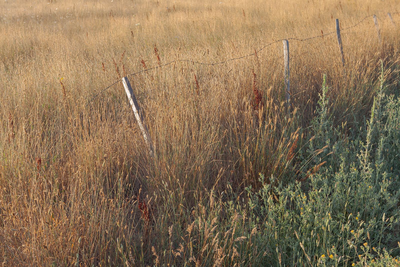 © Panos Charalampidis + Mary Chairetaki - Image from the Cornucopia photography project