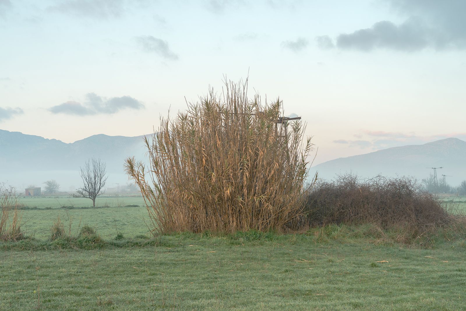 © Panos Charalampidis + Mary Chairetaki - Image from the Cornucopia photography project