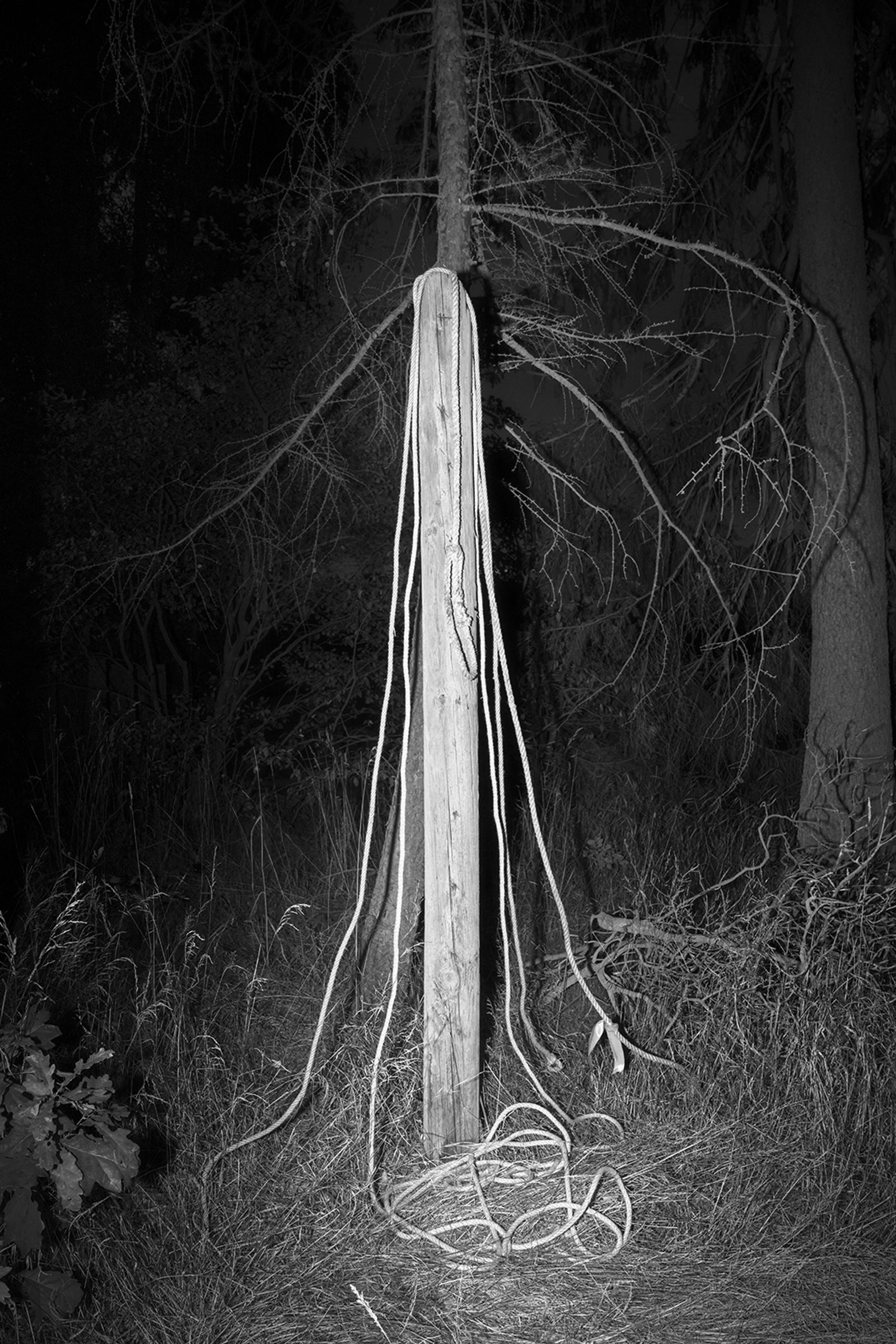 © Elena Helfrecht - First Signs, 2019 | Pole behind a war memorial close to the forest border.