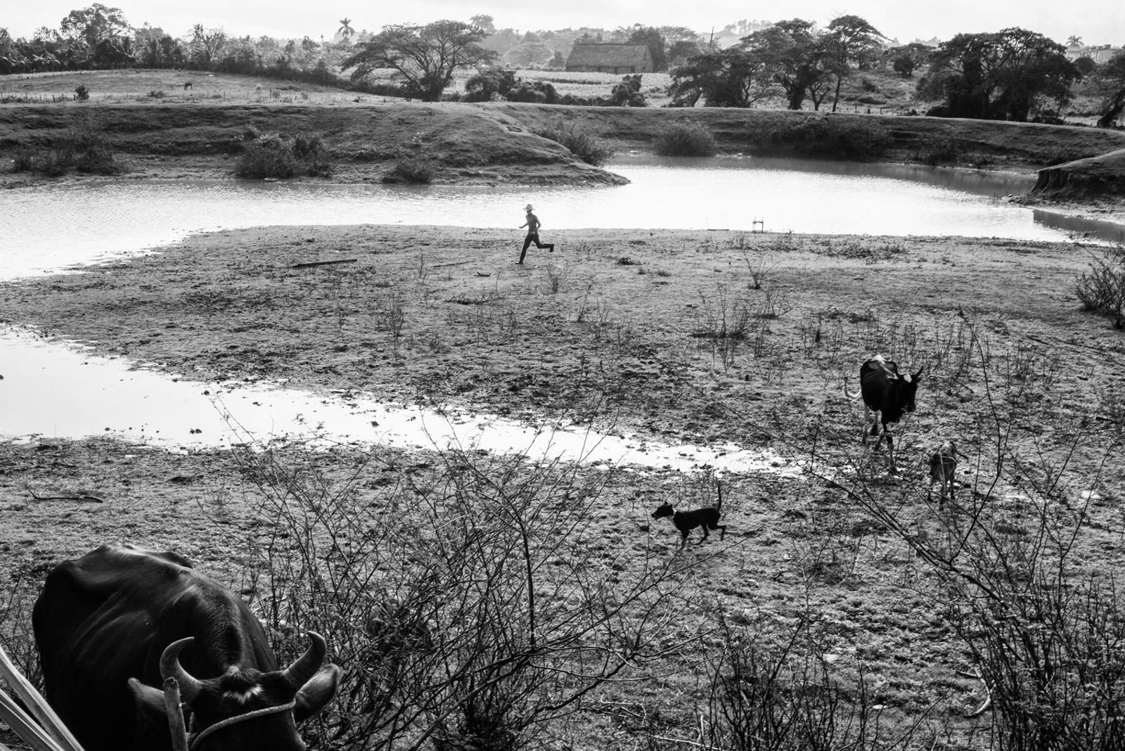 © Richard Andrew Sharum - Image from the TIERRA CUBA photography project