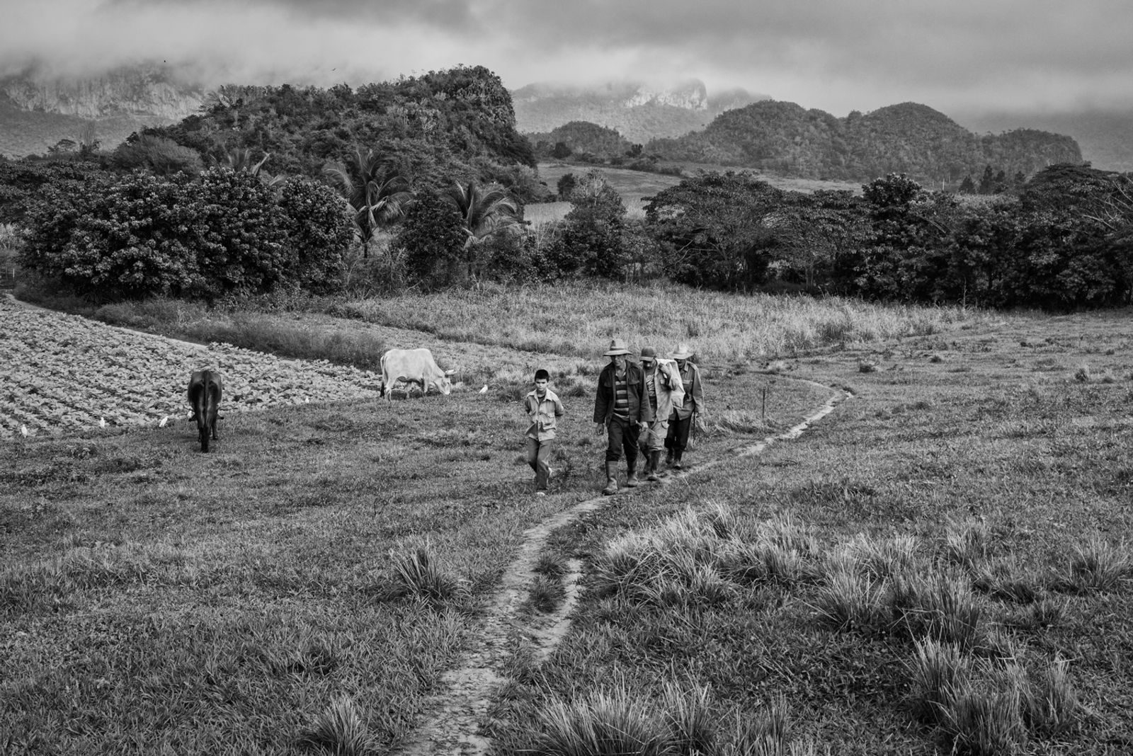 © Richard Andrew Sharum - Image from the TIERRA CUBA photography project