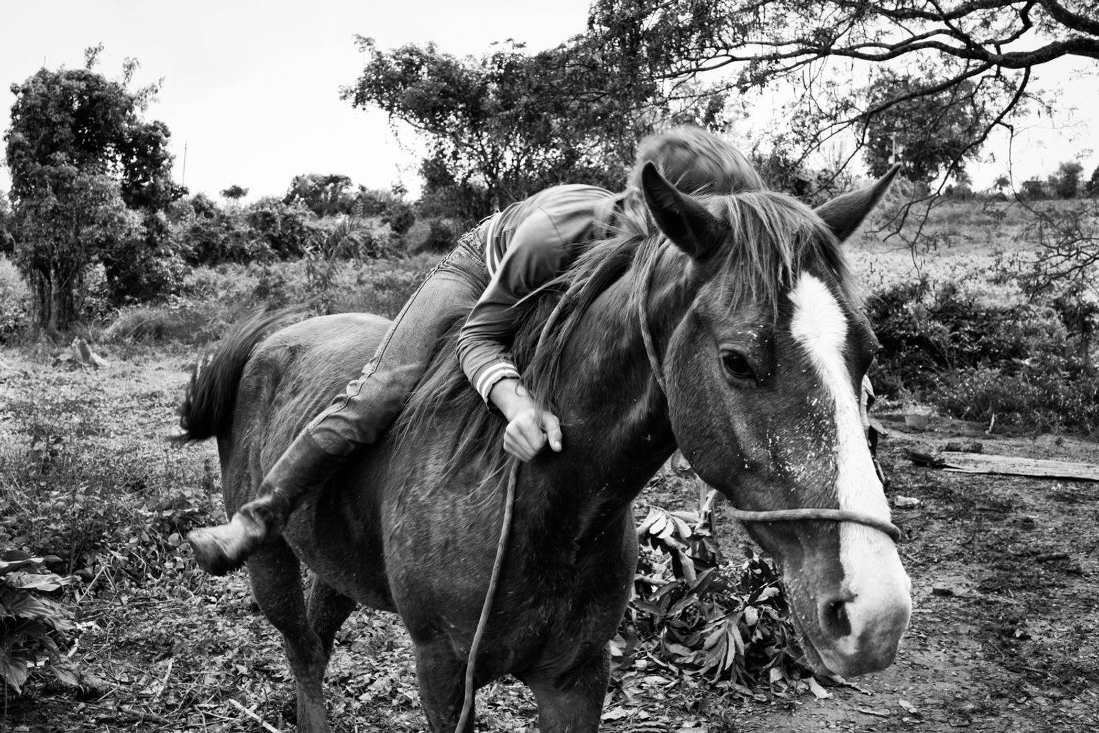 © Richard Andrew Sharum - Image from the TIERRA CUBA photography project