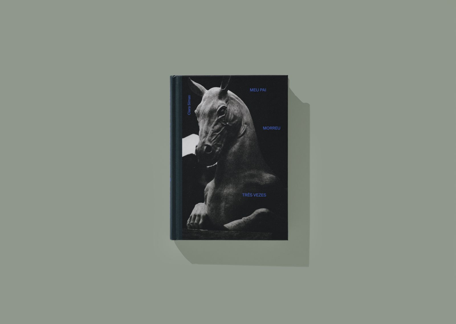 Image from a project on PhMuseum