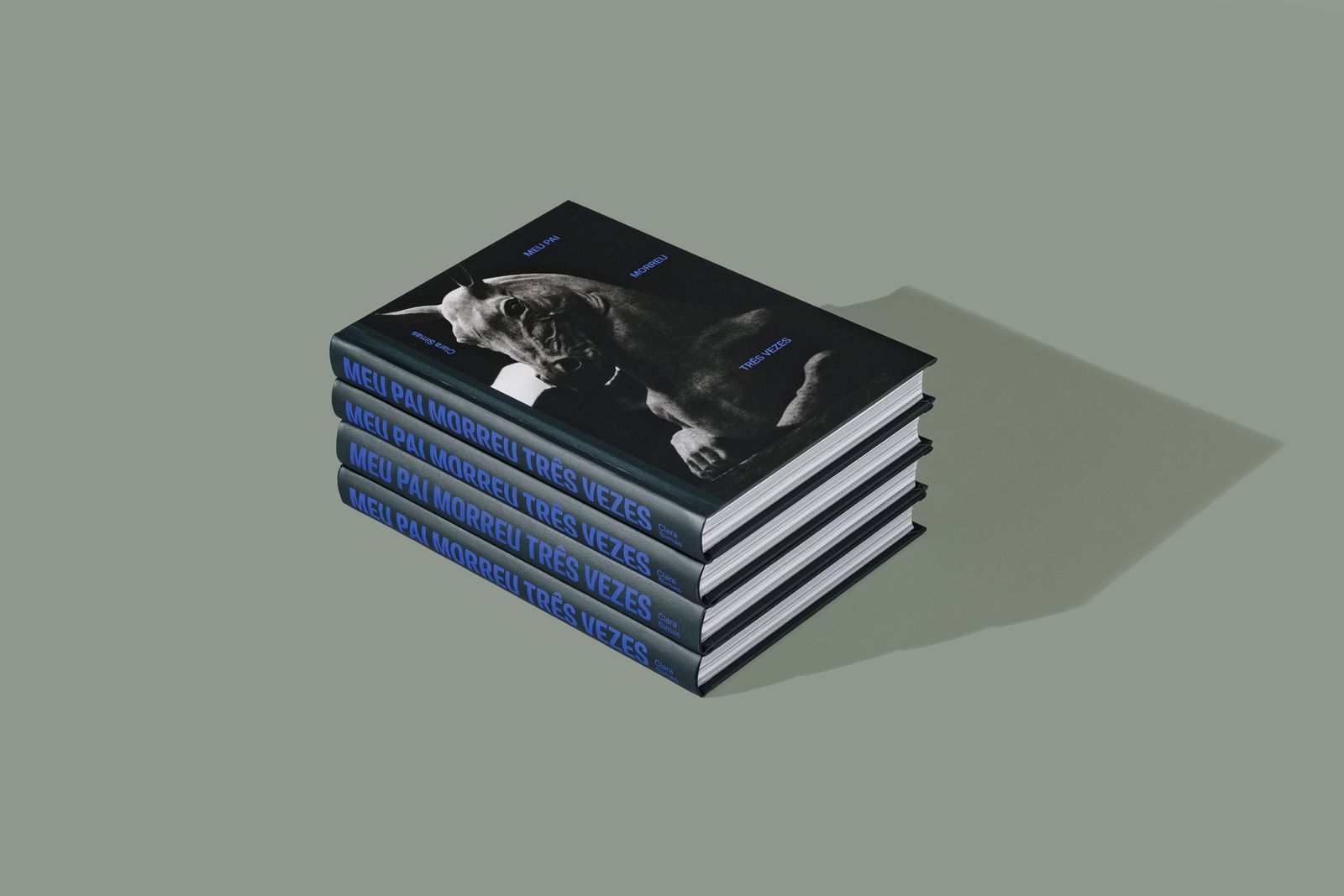 Image from a project on PhMuseum